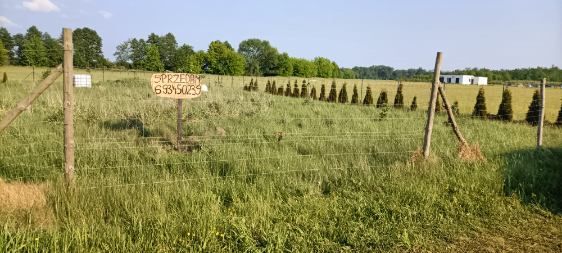 Działka budowlana Kruszyn. Zdjęcie 5