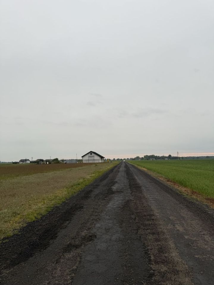 Działka budowlana Rusiborek. Zdjęcie 5