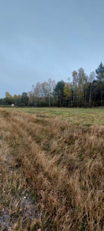 Działka budowlana Żebrówka. Zdjęcie 7