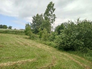 Działka budowlana Roztoka-Brzeziny Szarysz. Zdjęcie 3