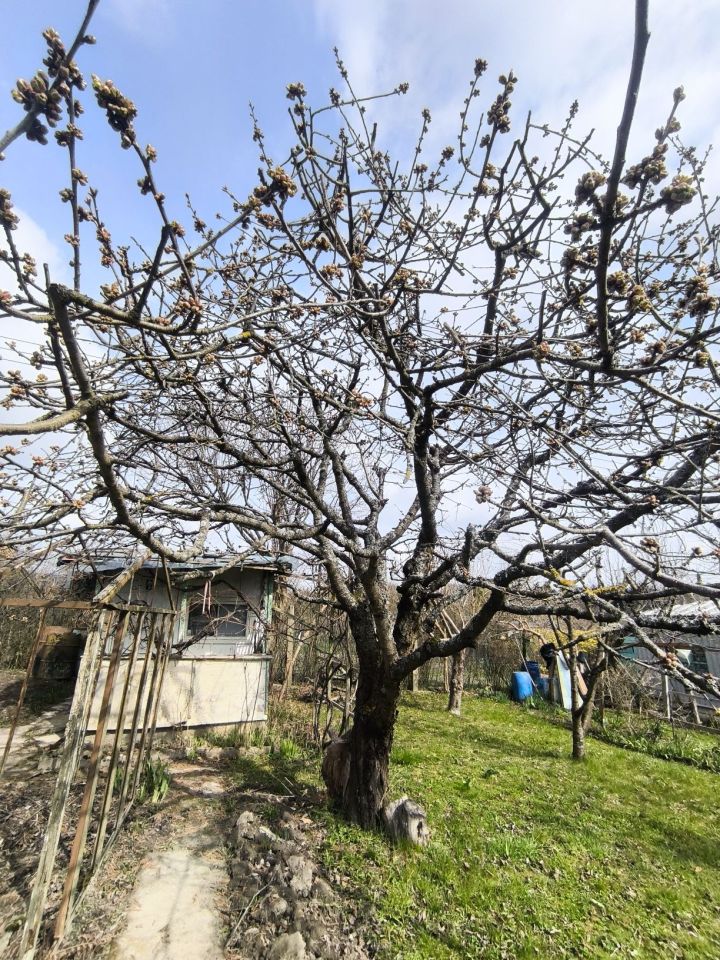 Działka rod Elbląg Bielany. Zdjęcie 4