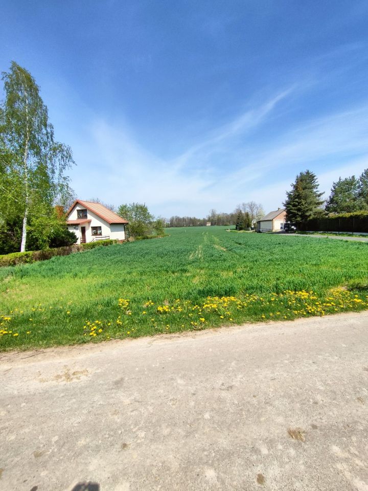 Działka rolno-budowlana Kawęczyn. Zdjęcie 2