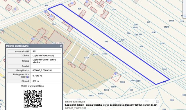 Działka rolno-budowlana Łopiennik Nadrzeczny. Zdjęcie 1