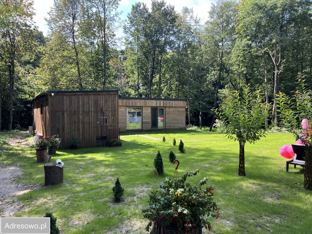 siedlisko Tuszewo. Zdjęcie 5