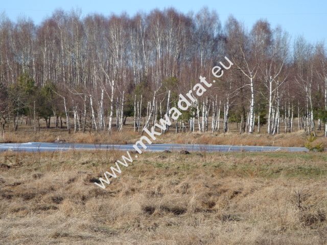 Działka budowlana Słubica B. Zdjęcie 4