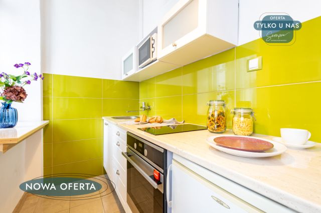 Mieszkanie 1-pokojowe Łódź Śródmieście, ul. płk. dr. Stanisława Więckowskiego. Zdjęcie 5