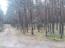 Działka rekreacyjna Kolonie Stanisławów. Zdjęcie 2