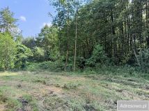 Działka rolna Budno. Zdjęcie 4