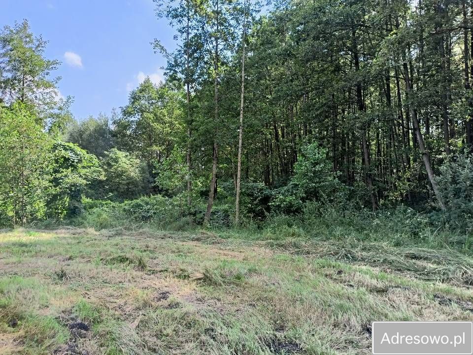 Działka rolna Budno. Zdjęcie 5