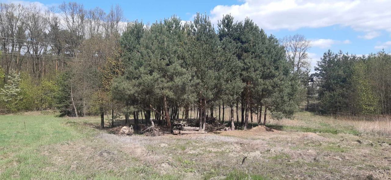 Działka budowlana Stare Orzechowo. Zdjęcie 3