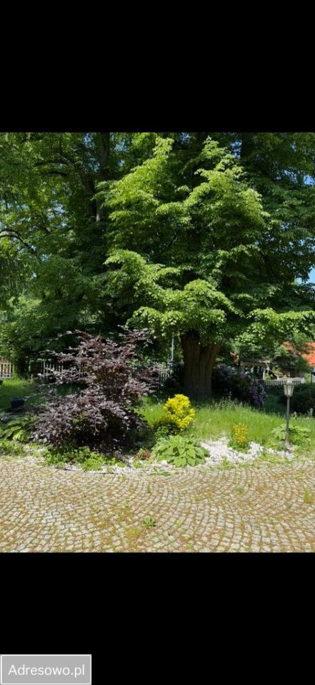 Nieruchomość komercyjna Karpacz. Zdjęcie 9