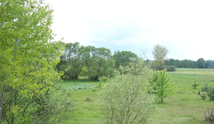 Działka rolna Kiezie