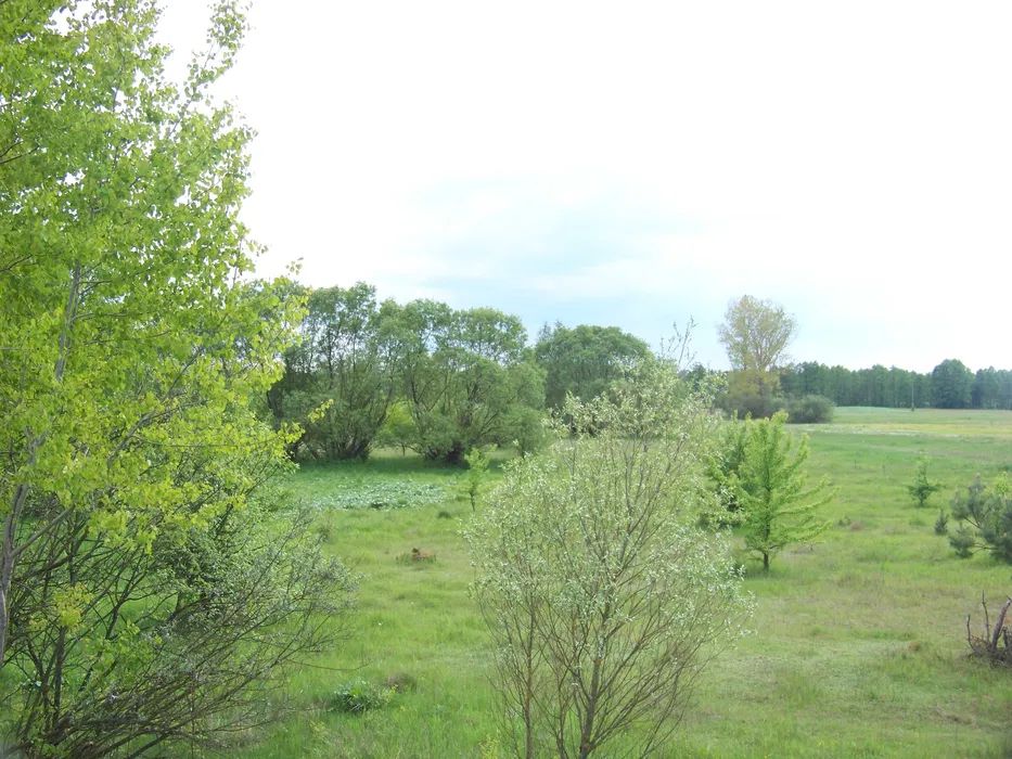 Działka rolna Kiezie. Zdjęcie 1