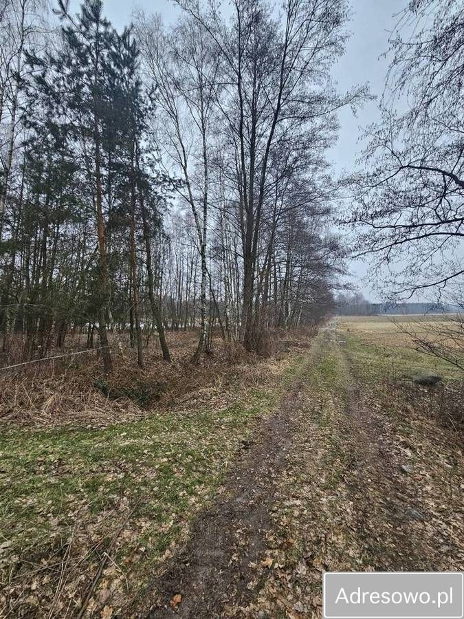 Działka budowlana Łazy Wielkie. Zdjęcie 6