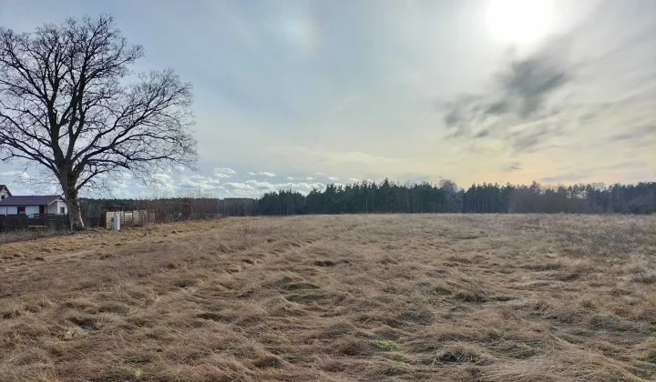 Działka budowlana Wiele