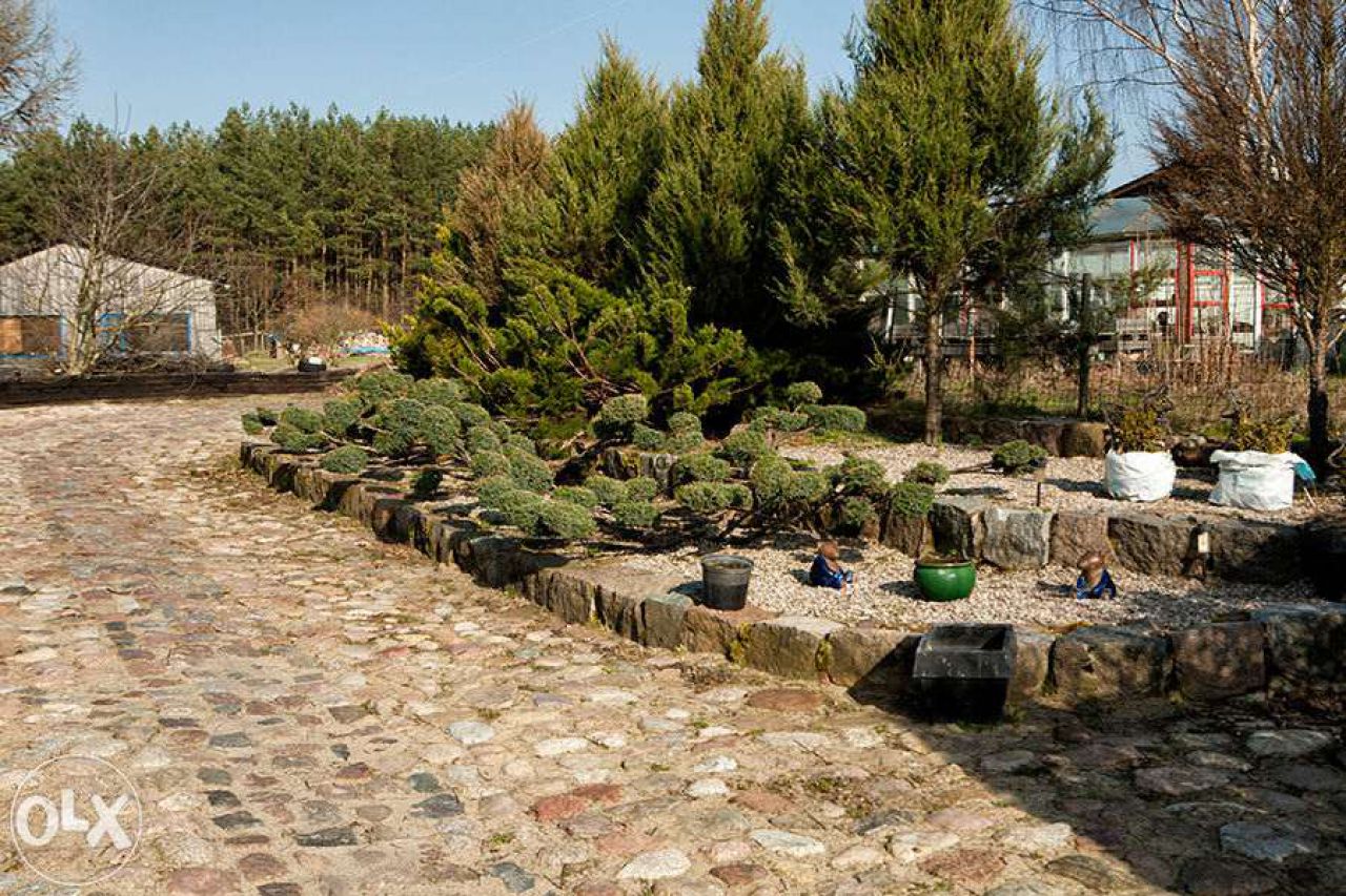 gospodarstwo Leszczyn. Zdjęcie 7