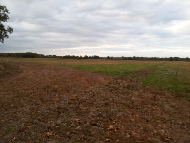 Działka rolna Głoska, ul. Średzka. Zdjęcie 1