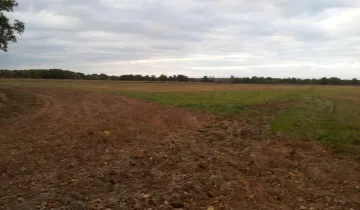 Działka na sprzedaż bez pośredników ul. Owocowa Mrozów - Widok 5