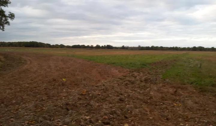 Działka rolna Głoska, ul. Średzka