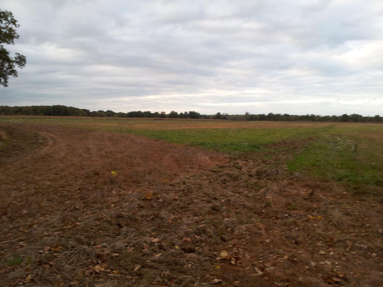 Działka rolna Głoska, ul. Średzka