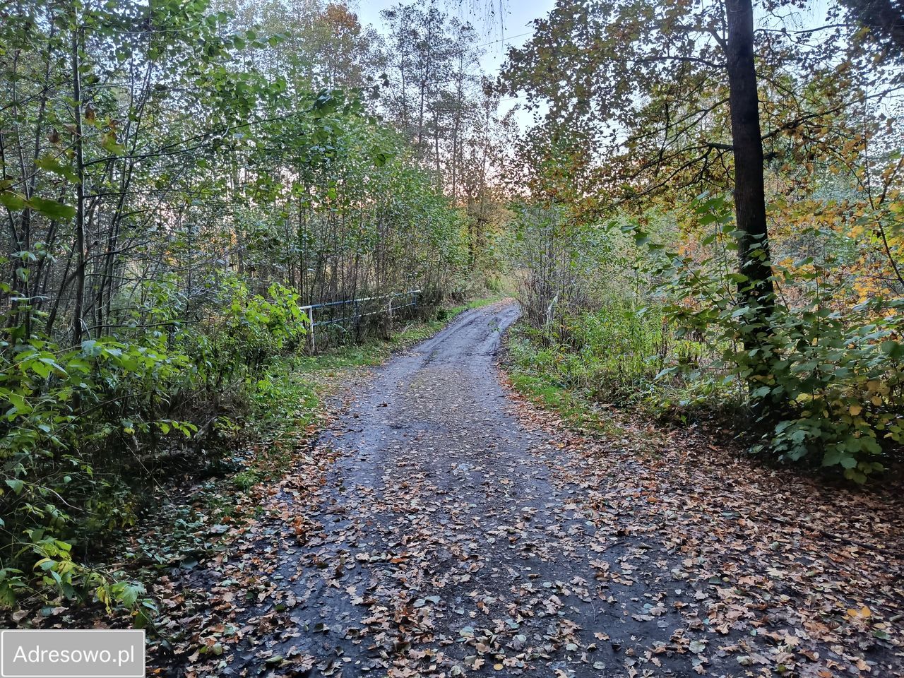 Działka inna Mysłowice Wesoła, ul. Zacisze. Zdjęcie 10