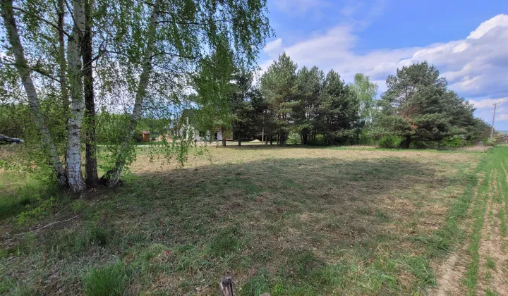 Działka budowlana Fasty, ul. Dzikowska