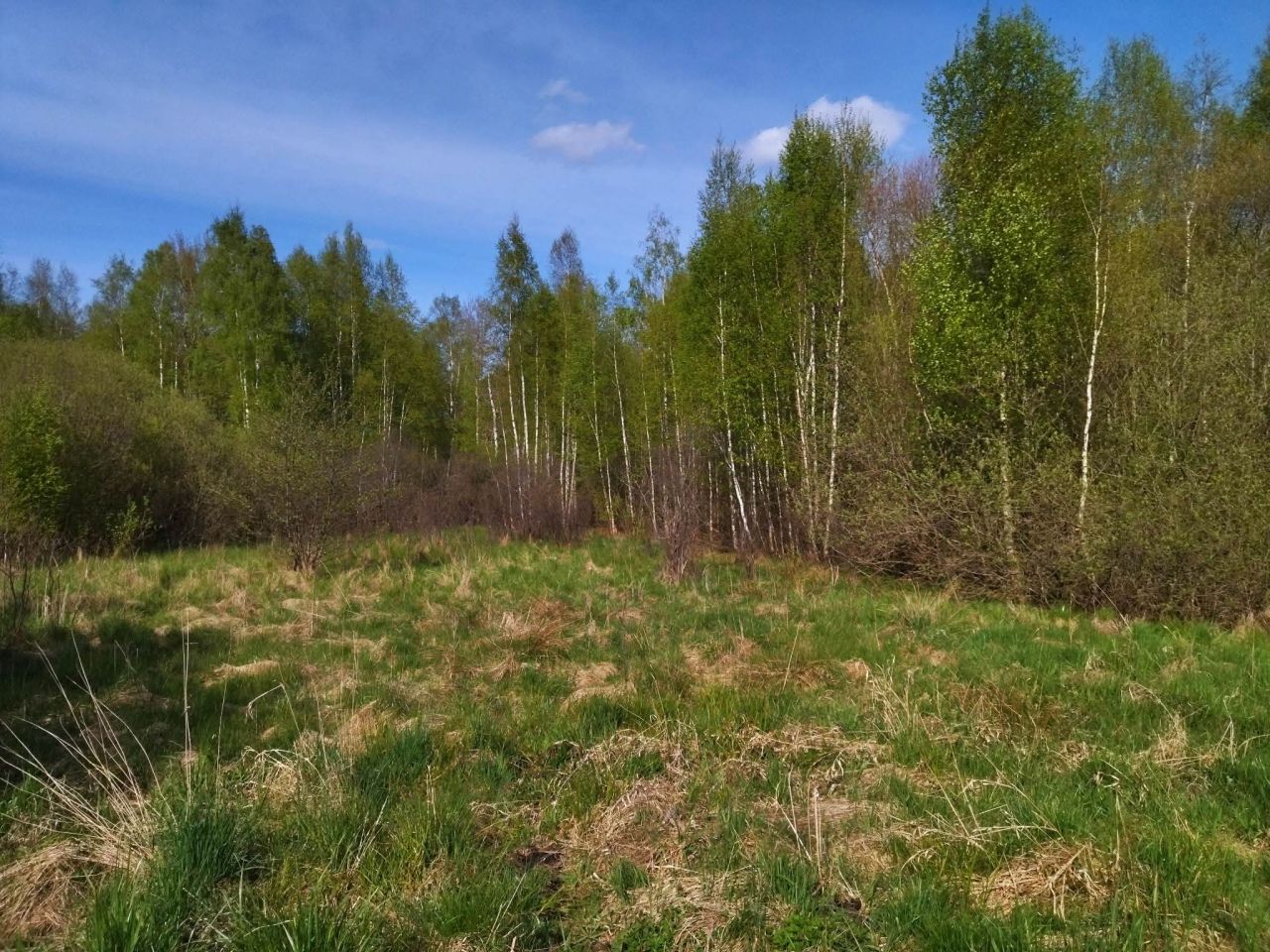 Działka budowlana Wielimowo. Zdjęcie 2