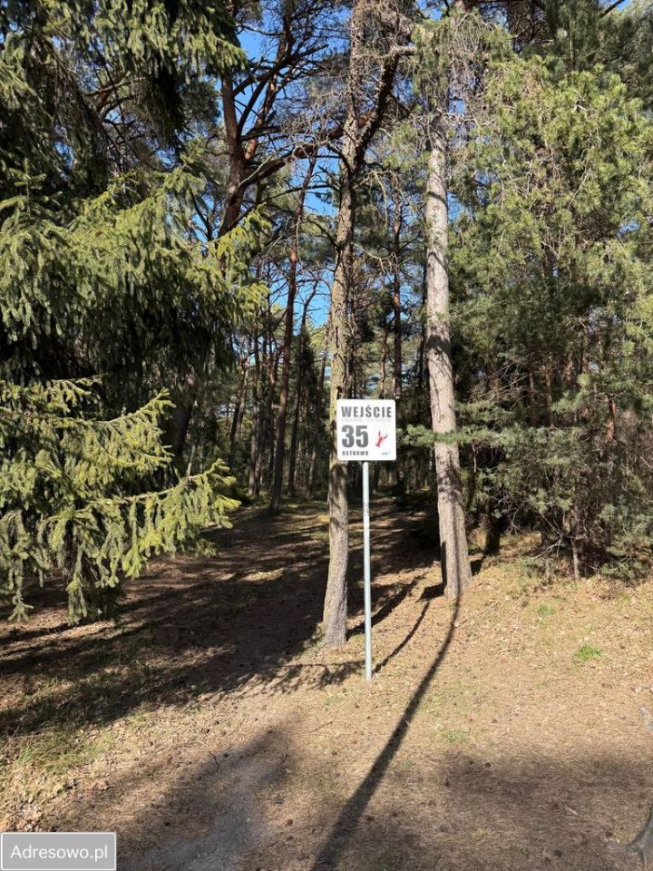 Działka rekreacyjna Ostrowo. Zdjęcie 6