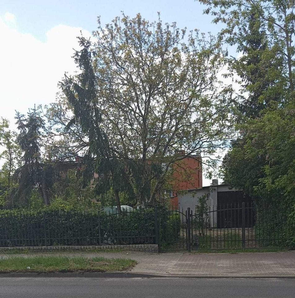 bliźniak, 5 pokoi Skwierzyna. Zdjęcie 3