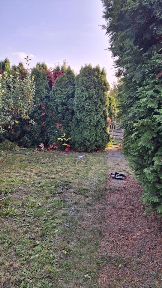 Działka rod Radomsko, ul. Brzeźnicka. Zdjęcie 7