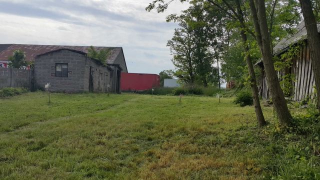 Działka rolno-budowlana Wola Piekarska. Zdjęcie 1