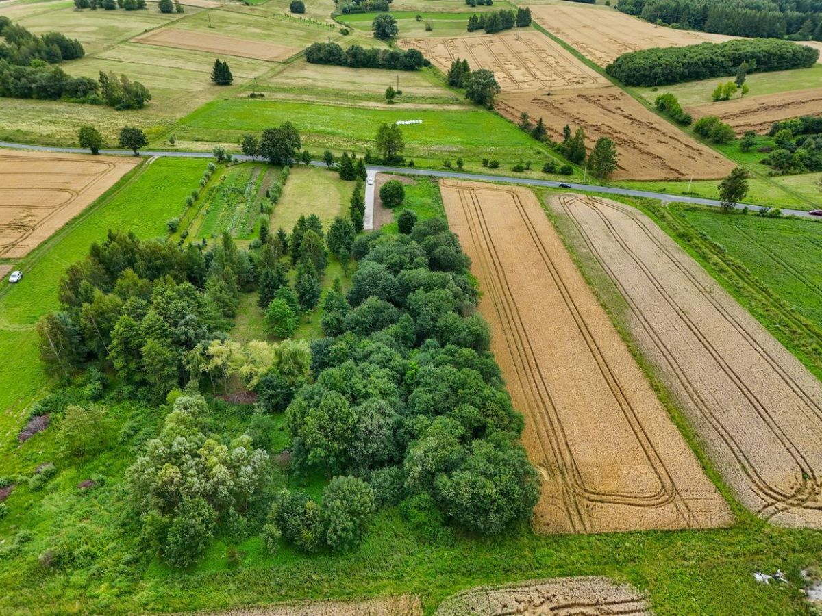 Działka budowlana Rymanów. Zdjęcie 9