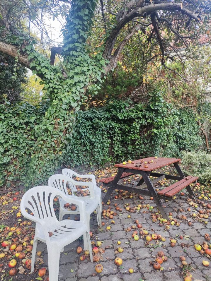 dom szeregowy Wrocław Biskupin, ul. Edwarda Abramowskiego. Zdjęcie 5