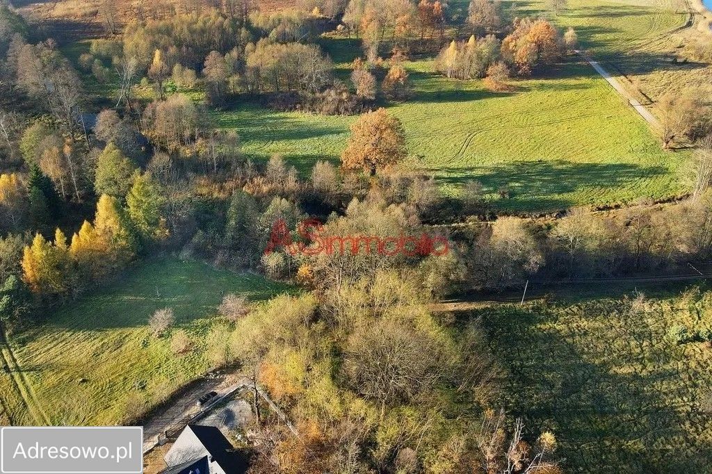 Działka inwestycyjna Arciechów, ul. Dąbrowiecka. Zdjęcie 3