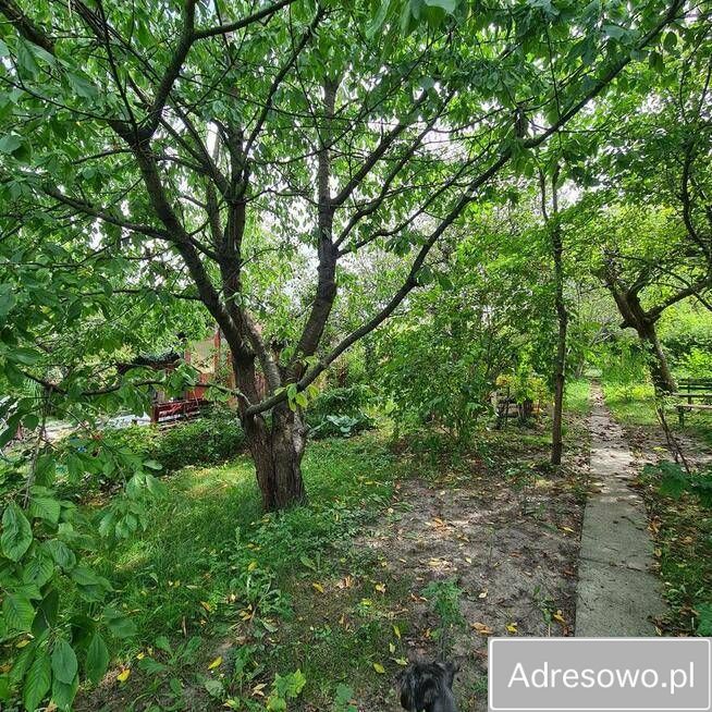 Działka rod Malbork. Zdjęcie 2