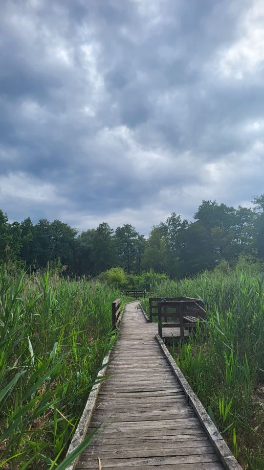Mieszkanie 1-pokojowe Konstancin-Jeziorna Grapa, ul. Jana Sobieskiego. Zdjęcie 15