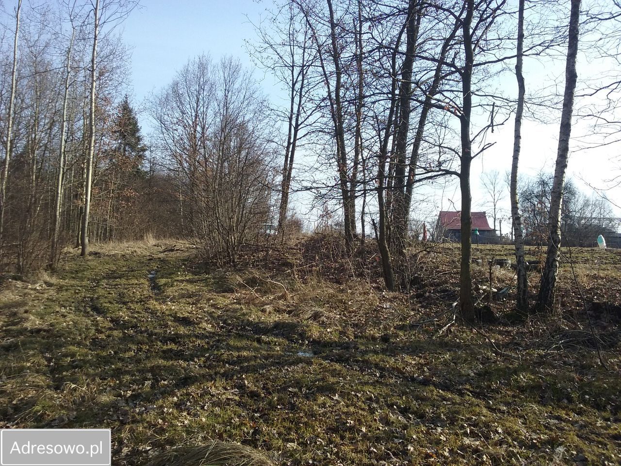 Działka leśna Jastrząb. Zdjęcie 12