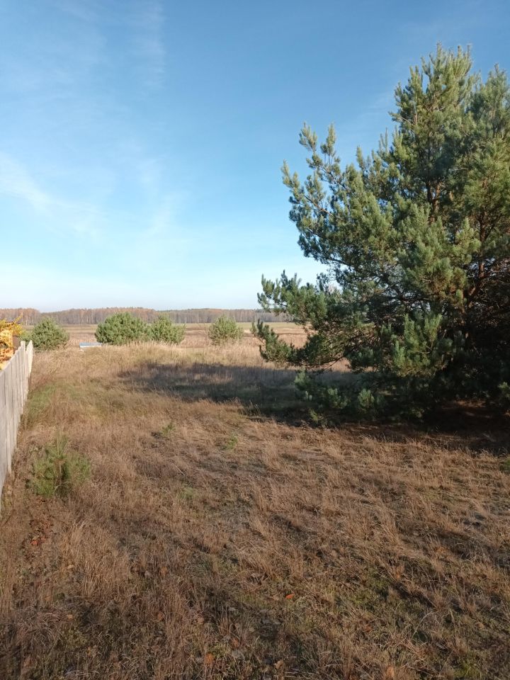 Działka budowlana Czosnówka, ul. Olchowa. Zdjęcie 8