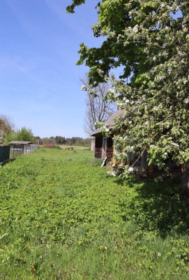 Działka rolno-budowlana Kłyzówka. Zdjęcie 5