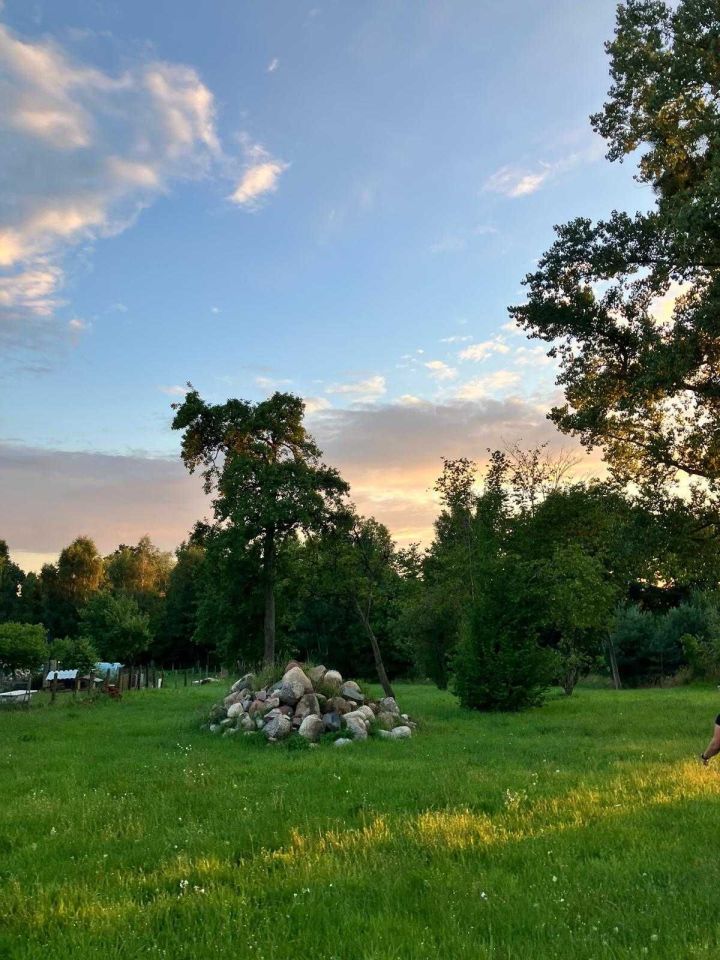 Działka rolno-budowlana Czysta. Zdjęcie 5