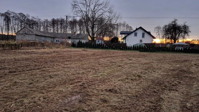 Działka rolno-budowlana Dzierzązna. Zdjęcie 1