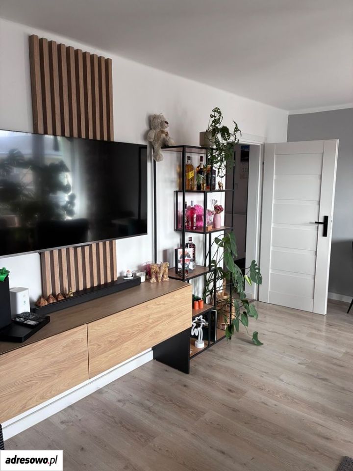 1-собен стан, 50 m²