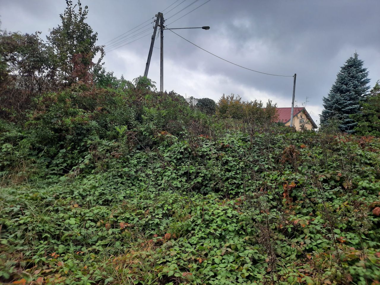 Działka budowlana Potaśnia, ul. Gruszowa. Zdjęcie 7