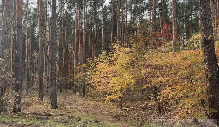 Działka budowlana Sulejówek, ul. Muzyczna