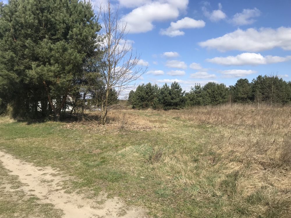 Działka rod Trzcianka. Zdjęcie 4