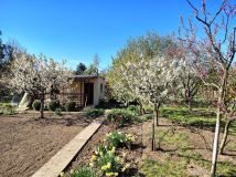 Działka rod Legnica, ul. Ogrodowa. Zdjęcie 3