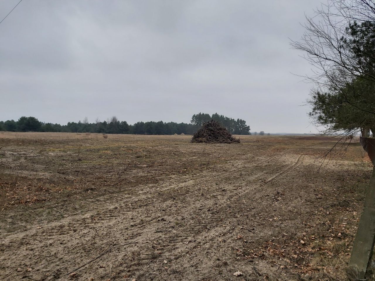 Działka rolno-budowlana Wola Pieczyska. Zdjęcie 6