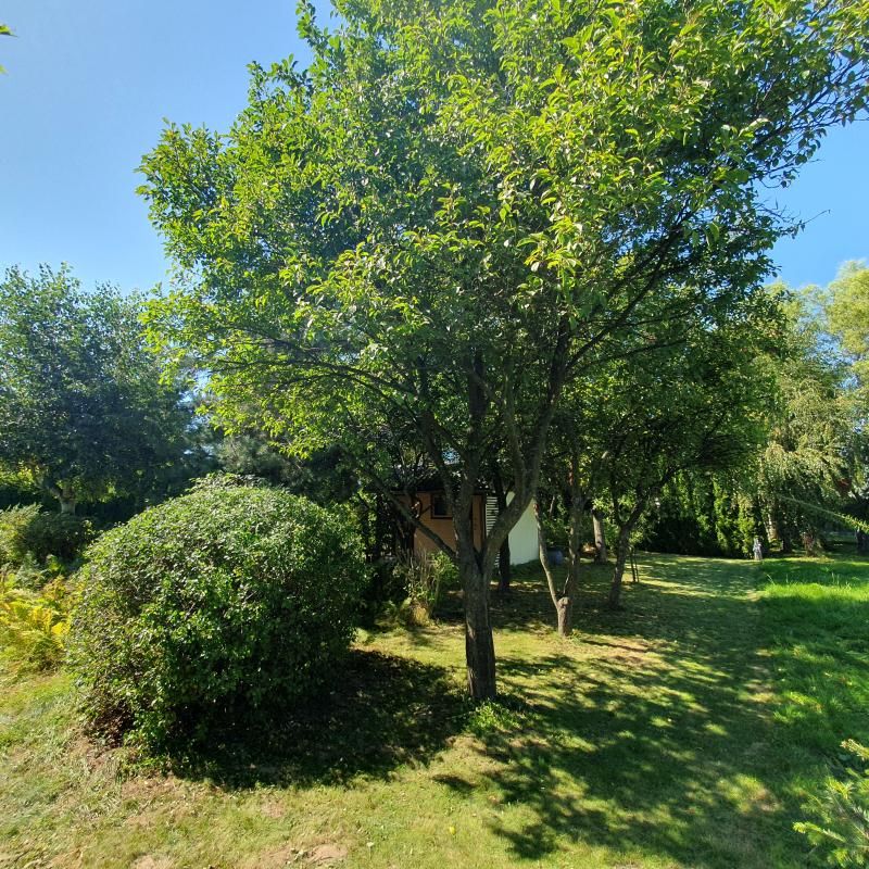 Działka rod Nowy Sącz, ul. Bronisława Czecha. Zdjęcie 2