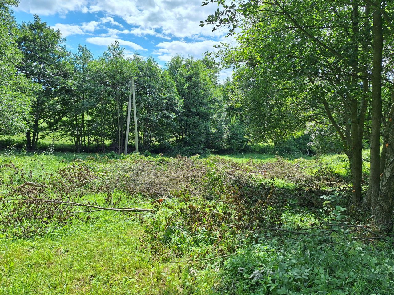 Działka rolno-budowlana Potoczek. Zdjęcie 11