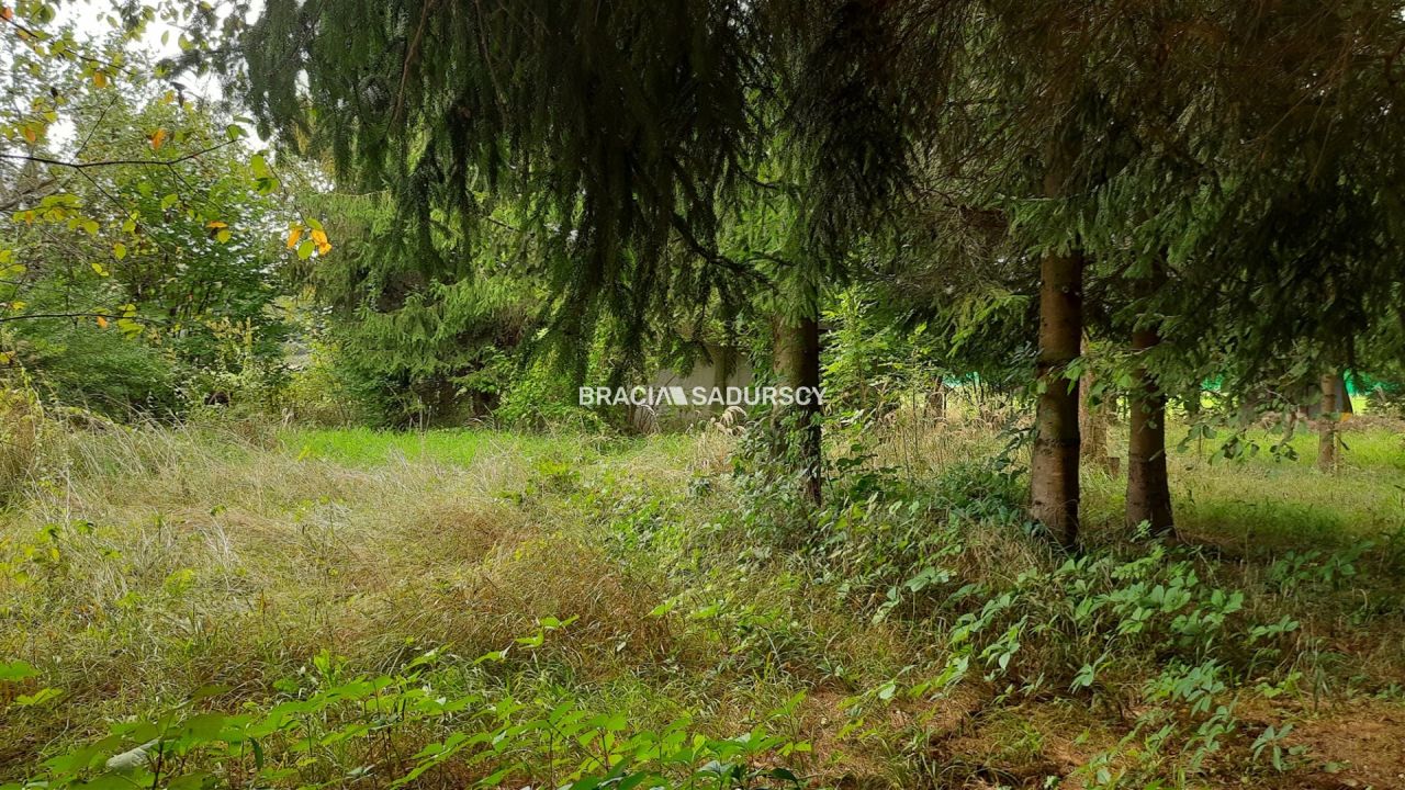 Działka rekreacyjna Lusina, ul. Przymiarki. Zdjęcie 10